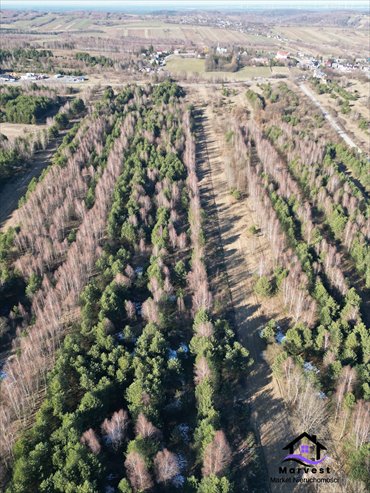 działka na sprzedaż 6616m2 działka Niegowa