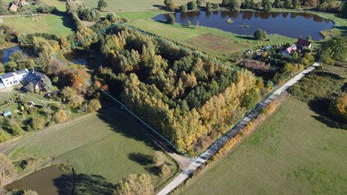 działka na sprzedaż 11000m2 działka Trąbki Małe, Makowa