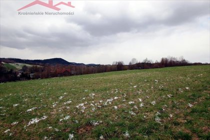 działka na sprzedaż 9900m2 działka Jasienica Rosielna