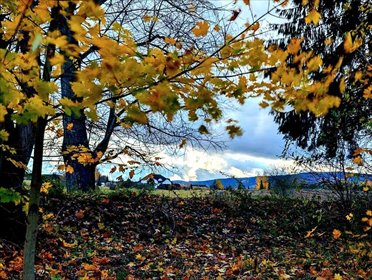 działka na sprzedaż 1337m2 działka Stary Wielisław