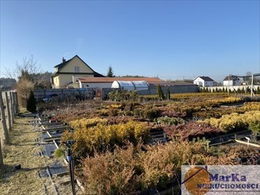 Dom na sprzedaż Kotlice Nowe, Kotlice Nowe 144m2 Foto 4