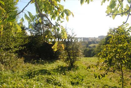Działka inna na sprzedaż Miękinia 3 991m2 Foto 6