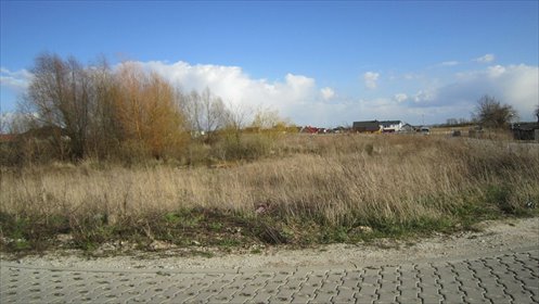 Do sprzedania działka inwestycyjna 4520 m² w Rewalu działka Rewal