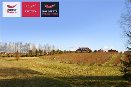 Działka na sprzedaż 103000m2 działka Ząbrsko Górne, Rajska