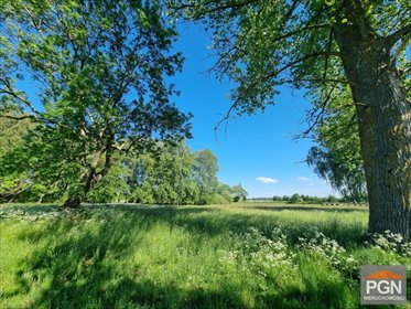 działka na sprzedaż 14112m2 działka Strzeżewo