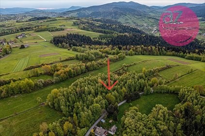 działka na sprzedaż 14500m2 działka Mszalnica