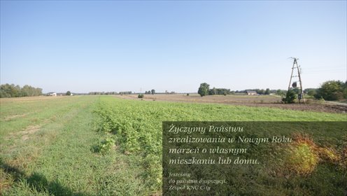 działka na sprzedaż 9800m2 działka Rudka Gołębska