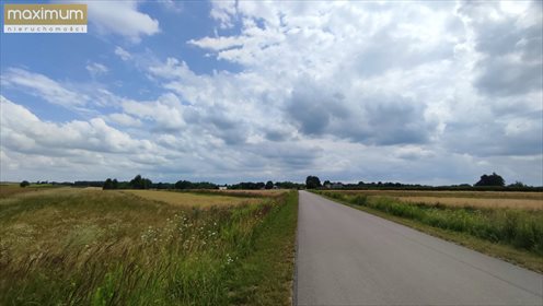 Działka rolna na sprzedaż Stara Wieś 18 034m2 Foto 2