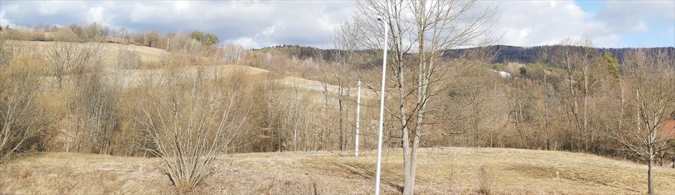 działka na sprzedaż 4900m2 działka Lesko, Manasterzec