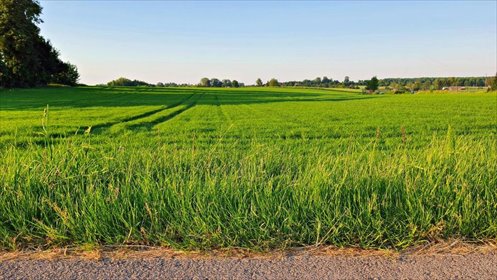 działka na sprzedaż 3000m2 działka Miłocin