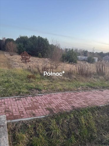 działka na sprzedaż 9700m2 działka Zbójno