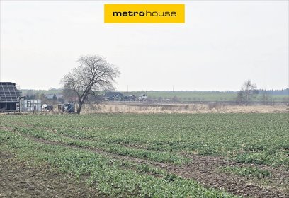 Na sprzedaż duża działka 5000 m² z mediami i potencjałem inwestycyjnym działka Krokowa, Ogrodowa