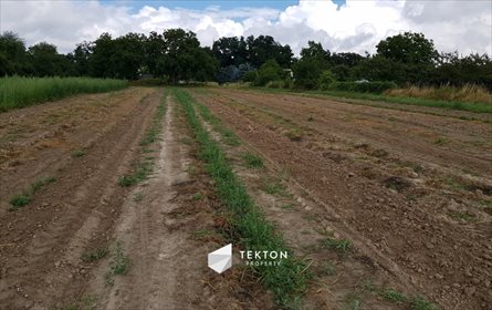 Działka przemysłowo-handlowa na sprzedaż Wysoki Kościół, Parkowa 1 000m2 Foto 3
