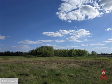 działka na sprzedaż 3300m2 działka Olmonty