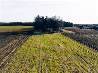 Ostatnia działka w Nowym Bedoniu działka Nowy Bedoń, Mazowiecka