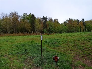 działka na sprzedaż 3635m2 działka Leśno