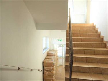 Lokal użytkowy na wynajem Romanów, Romanów, Romanów 430m2 Foto 7