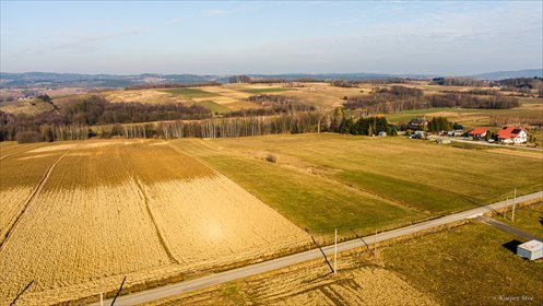 działka na sprzedaż 16100m2 działka Ołpiny