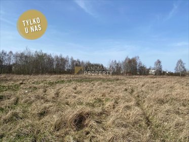 działka na sprzedaż 12099m2 działka Marki