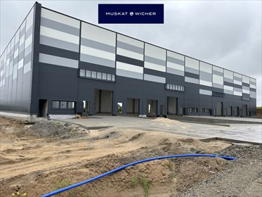 magazyn na wynajem 3700m2 magazyn Miszewo