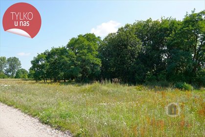 działka na sprzedaż 900m2 działka Deszczno