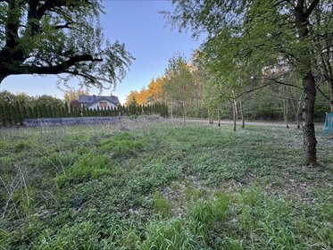 1233 m² spokoju. Las za płotem w Puszczykowie działka Puszczykowo, Jeździecka