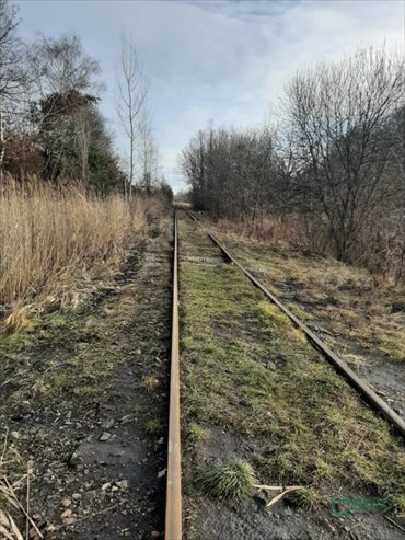 działka na sprzedaż 39349m2 działka Knurów, Knurów, Rakoniewska i Szpitalna