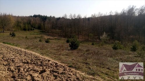 Działka rolna na sprzedaż Lubcza 5 000m2 Foto 4