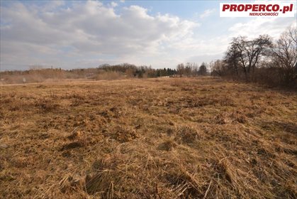Działka inna pod dzierżawę Chęciny, Sitkówka 7 430m2 Foto 4