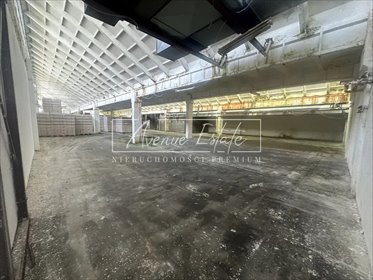 lokal użytkowy na wynajem 1300m2 lokal użytkowy Kozienice, Przemysłowa