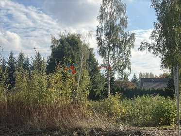 działka na sprzedaż 2681m2 działka Nowa Iwiczna