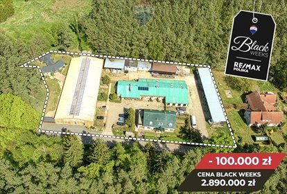 lokal użytkowy na sprzedaż 244m2 lokal użytkowy Zielona Góra, Ochla-św. Huberta