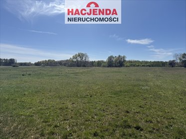działka na sprzedaż 9800m2 działka Wieńkowo
