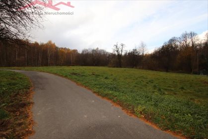 działka na sprzedaż 14900m2 działka Wojaszówka