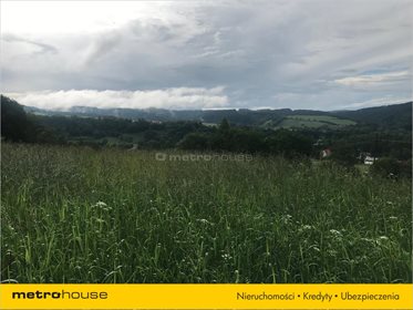 Działka rolna na sprzedaż Bukowiec, Solina 13 100m2 Foto 3