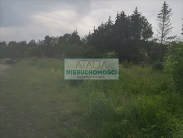 Działka usługowo-budowlana 4100 m² z mediami i dojazdem asfaltowym działka Kady