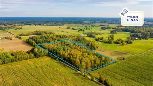 działka na sprzedaż 29600m2 działka Folwarki Tylwickie