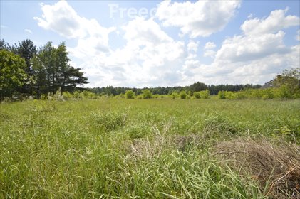 działka na sprzedaż 27700m2 działka Wierzchy