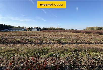 Sprzedam działkę 1166 m² w Dmosinie Drugi z dostępem do mediów działka Dmosin Drugi