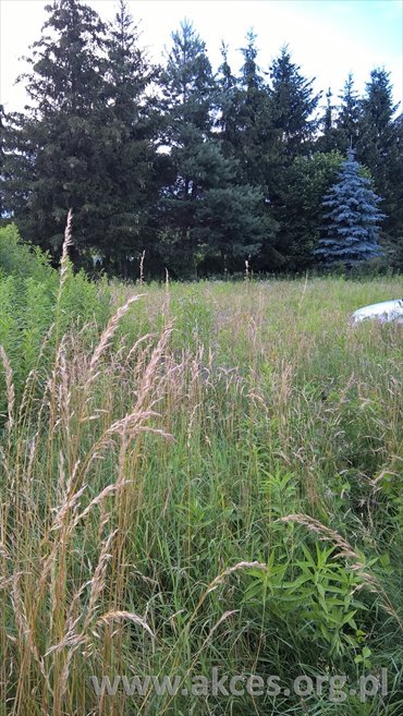 działka na sprzedaż 1916m2 działka Zaborów