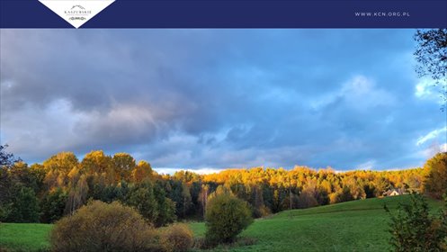 działka na sprzedaż 1365m2 działka Michalin, Koronki