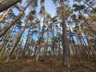 działka na sprzedaż 1646m2 działka Dziwnów