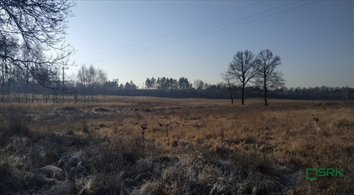 Działka 7 957 m² z dostępem do drogi i energii działka Rudziczka, Rudziczka, Łąkowa
