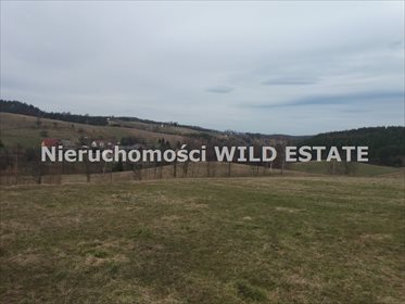 działka na sprzedaż 7900m2 działka Solina, Wola Matiaszowa