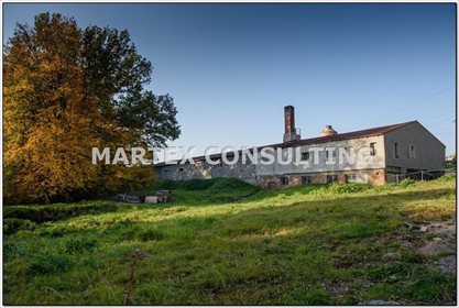 Magazyn na sprzedaż Wodzisław Śląski 18 335m2 Foto 3