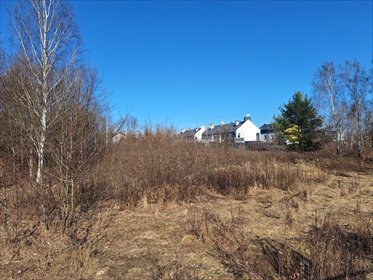 Działka 13 161 m² w Wołominie, idealna pod inwestycję działka wołomiński, 1 Maja