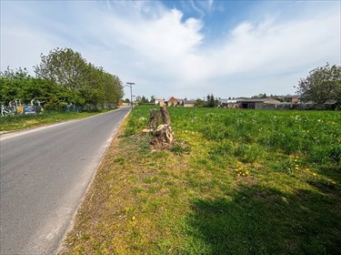 Przestronna działka 2454 m² w Grodzisku – blisko natury! działka Grodzisko