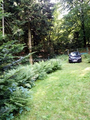 Działka budowlano-leśna z domkiem i dostępem do lasu działka Kalwaria Zebrzydowska