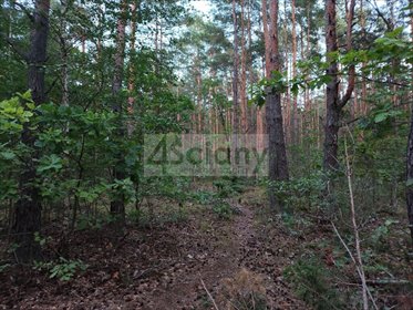 działka na sprzedaż 2764m2 działka Truskaw