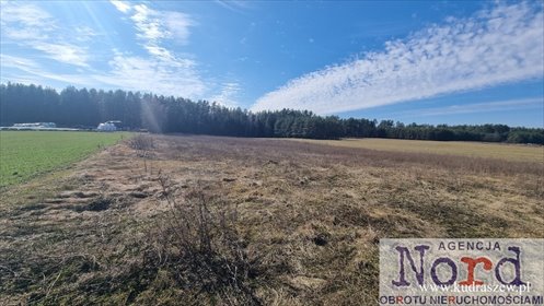 Działka z lasem i warunkami zabudowy (Augustów) działka Augustów, Rajgrodzka